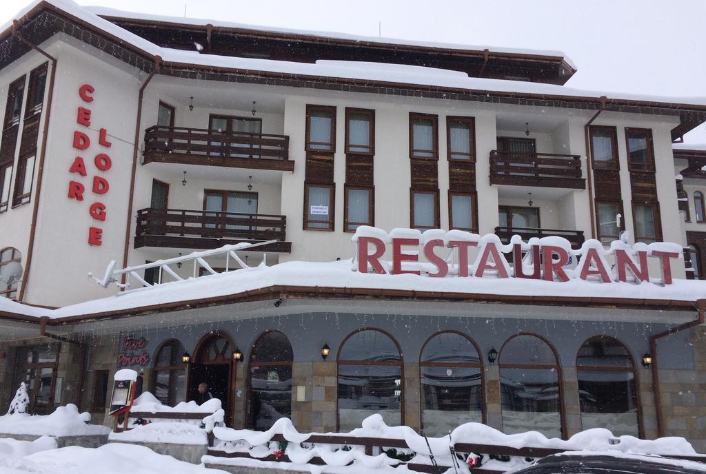Studio In Cedar Lodge 3 Банско Экстерьер фото